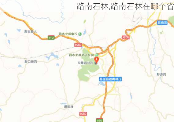 路南石林,路南石林在哪个省-第2张图片-奥莱旅游网