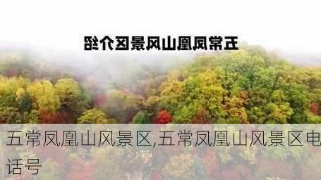 五常凤凰山风景区,五常凤凰山风景区电话号-第1张图片-奥莱旅游网