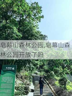 皂幕山森林公园,皂幕山森林公园开放了吗-第3张图片-奥莱旅游网