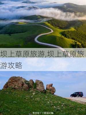 坝上草原旅游,坝上草原旅游攻略-第3张图片-奥莱旅游网