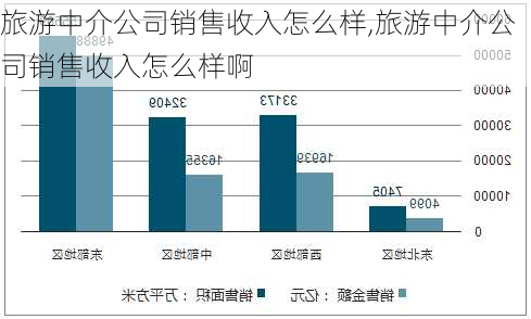 旅游中介公司销售收入怎么样,旅游中介公司销售收入怎么样啊