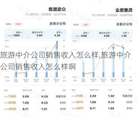 旅游中介公司销售收入怎么样,旅游中介公司销售收入怎么样啊-第2张图片-奥莱旅游网