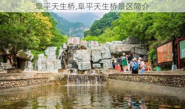 阜平天生桥,阜平天生桥景区简介-第3张图片-奥莱旅游网