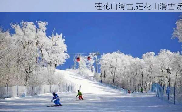 莲花山滑雪,莲花山滑雪场