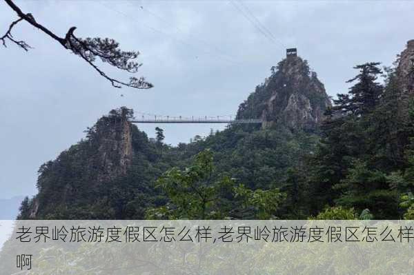 老界岭旅游度假区怎么样,老界岭旅游度假区怎么样啊-第2张图片-奥莱旅游网