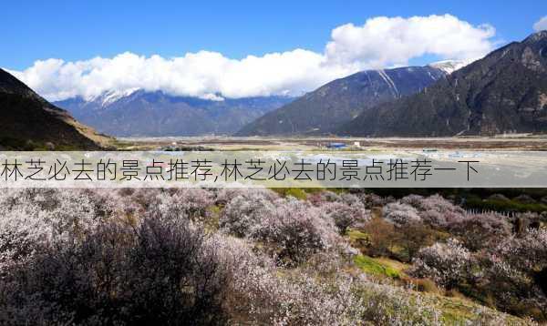 林芝必去的景点推荐,林芝必去的景点推荐一下-第3张图片-奥莱旅游网