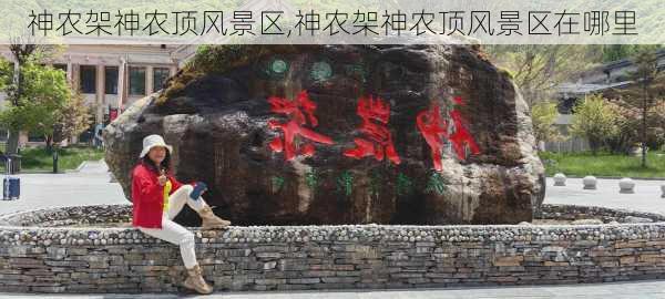 神农架神农顶风景区,神农架神农顶风景区在哪里-第1张图片-奥莱旅游网