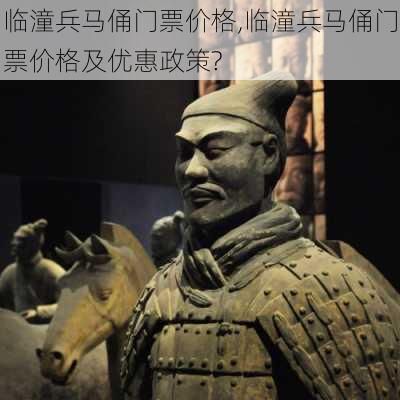 临潼兵马俑门票价格,临潼兵马俑门票价格及优惠政策?-第3张图片-奥莱旅游网