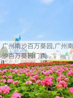 广州南沙百万葵园,广州南沙百万葵园门票-第3张图片-奥莱旅游网