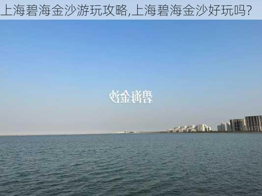 上海碧海金沙游玩攻略,上海碧海金沙好玩吗?-第3张图片-奥莱旅游网