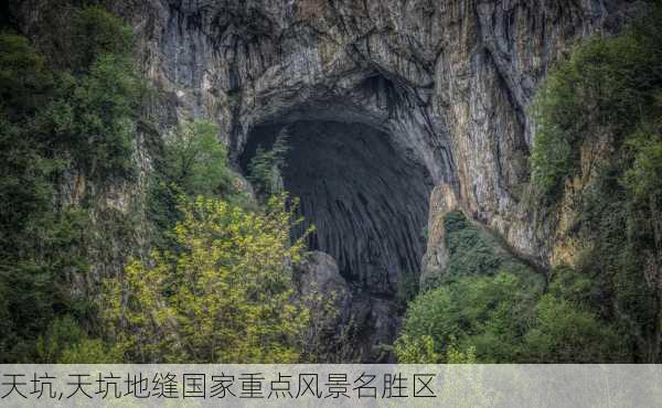 天坑,天坑地缝国家重点风景名胜区-第2张图片-奥莱旅游网