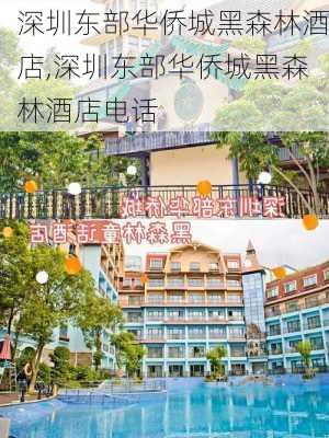 深圳东部华侨城黑森林酒店,深圳东部华侨城黑森林酒店电话-第1张图片-奥莱旅游网