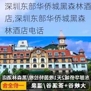 深圳东部华侨城黑森林酒店,深圳东部华侨城黑森林酒店电话-第3张图片-奥莱旅游网