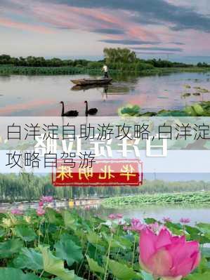 白洋淀自助游攻略,白洋淀攻略自驾游-第3张图片-奥莱旅游网