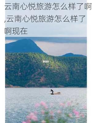 云南心悦旅游怎么样了啊,云南心悦旅游怎么样了啊现在-第3张图片-奥莱旅游网