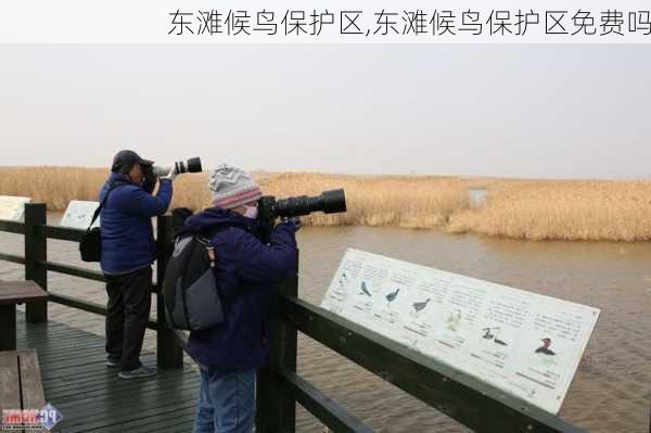 东滩候鸟保护区,东滩候鸟保护区免费吗-第3张图片-奥莱旅游网