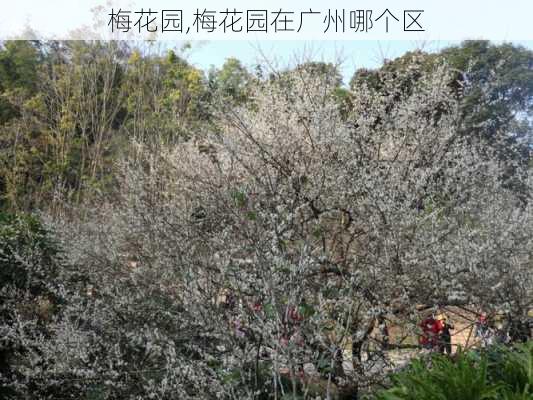 梅花园,梅花园在广州哪个区