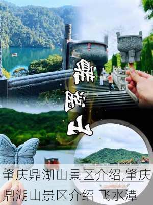 肇庆鼎湖山景区介绍,肇庆鼎湖山景区介绍 飞水潭-第2张图片-奥莱旅游网