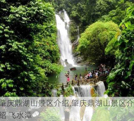 肇庆鼎湖山景区介绍,肇庆鼎湖山景区介绍 飞水潭-第3张图片-奥莱旅游网