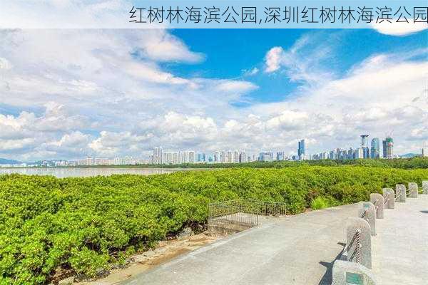 红树林海滨公园,深圳红树林海滨公园-第2张图片-奥莱旅游网