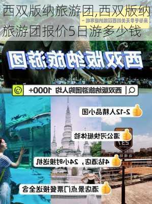 西双版纳旅游团,西双版纳旅游团报价5日游多少钱-第3张图片-奥莱旅游网