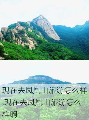 现在去凤凰山旅游怎么样,现在去凤凰山旅游怎么样啊-第3张图片-奥莱旅游网