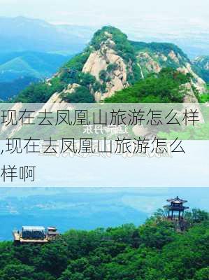 现在去凤凰山旅游怎么样,现在去凤凰山旅游怎么样啊-第2张图片-奥莱旅游网