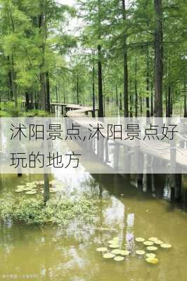 沭阳景点,沭阳景点好玩的地方-第3张图片-奥莱旅游网