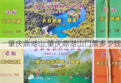 肇庆鼎湖山,肇庆鼎湖山门票多少钱-第2张图片-奥莱旅游网