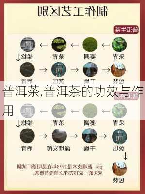 普洱茶,普洱茶的功效与作用-第2张图片-奥莱旅游网