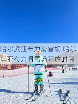 哈尔滨亚布力滑雪场,哈尔滨亚布力滑雪场开放时间-第1张图片-奥莱旅游网