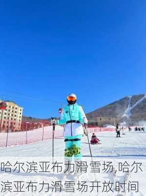 哈尔滨亚布力滑雪场,哈尔滨亚布力滑雪场开放时间-第2张图片-奥莱旅游网