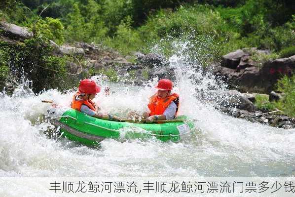 丰顺龙鲸河漂流,丰顺龙鲸河漂流门票多少钱