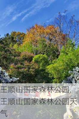 王顺山国家森林公园,王顺山国家森林公园天气