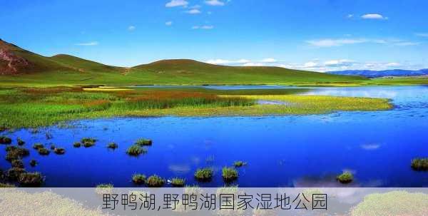 野鸭湖,野鸭湖国家湿地公园-第3张图片-奥莱旅游网