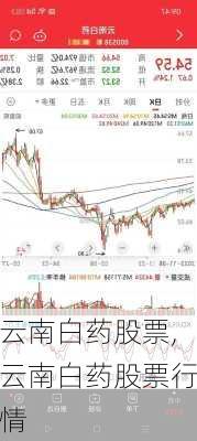 云南白药股票,云南白药股票行情-第2张图片-奥莱旅游网