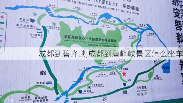 成都到碧峰峡,成都到碧峰峡景区怎么坐车-第2张图片-奥莱旅游网