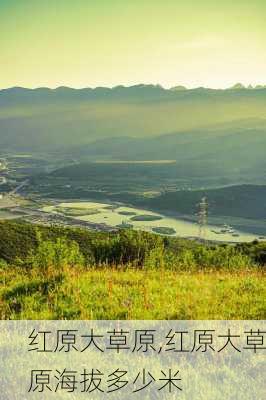 红原大草原,红原大草原海拔多少米-第3张图片-奥莱旅游网