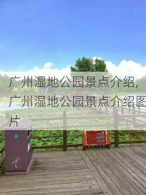 广州湿地公园景点介绍,广州湿地公园景点介绍图片-第3张图片-奥莱旅游网