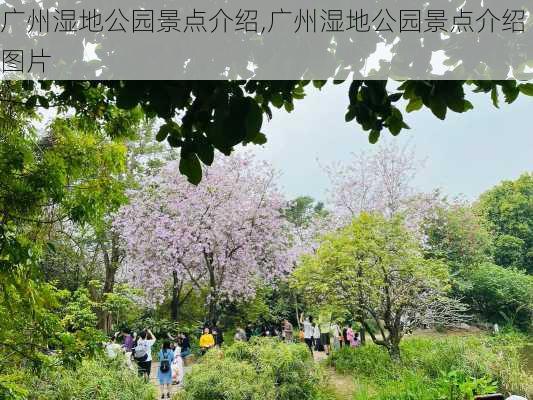 广州湿地公园景点介绍,广州湿地公园景点介绍图片-第2张图片-奥莱旅游网