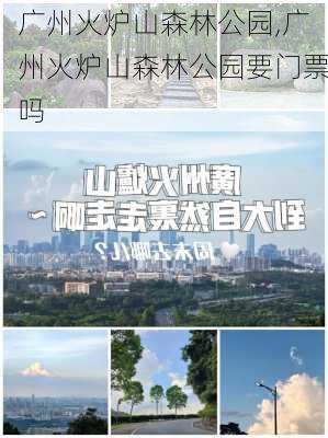 广州火炉山森林公园,广州火炉山森林公园要门票吗-第2张图片-奥莱旅游网