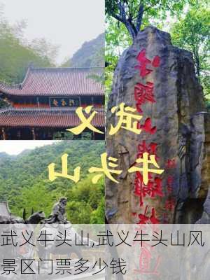 武义牛头山,武义牛头山风景区门票多少钱-第2张图片-奥莱旅游网