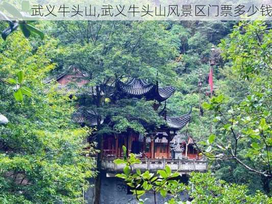 武义牛头山,武义牛头山风景区门票多少钱-第3张图片-奥莱旅游网