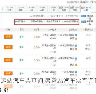 客运站汽车票查询,客运站汽车票查询12308-第2张图片-奥莱旅游网