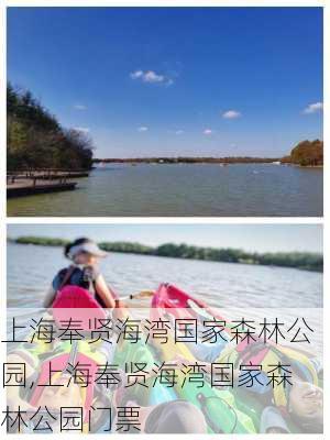 上海奉贤海湾国家森林公园,上海奉贤海湾国家森林公园门票-第3张图片-奥莱旅游网