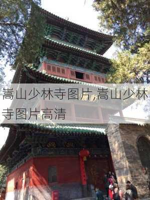 嵩山少林寺图片,嵩山少林寺图片高清-第3张图片-奥莱旅游网