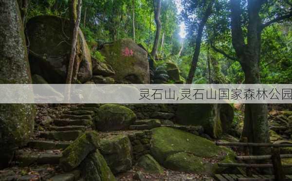 灵石山,灵石山国家森林公园-第1张图片-奥莱旅游网