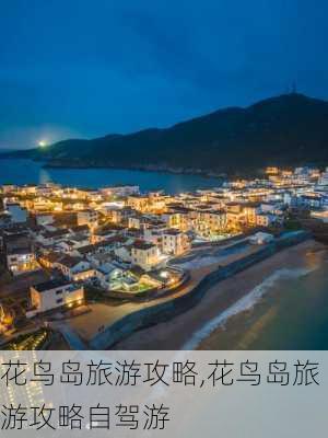 花鸟岛旅游攻略,花鸟岛旅游攻略自驾游-第3张图片-奥莱旅游网