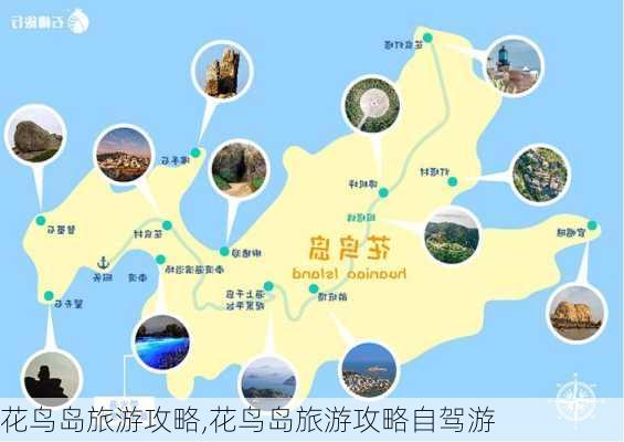 花鸟岛旅游攻略,花鸟岛旅游攻略自驾游-第2张图片-奥莱旅游网