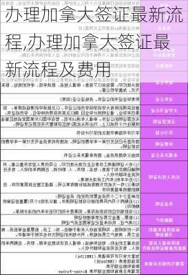 办理加拿大签证最新流程,办理加拿大签证最新流程及费用-第1张图片-奥莱旅游网